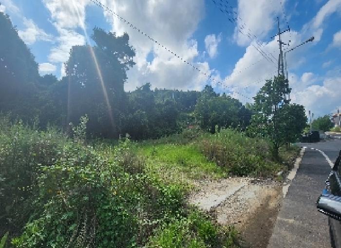 충북 영동군 학산면 봉소리 1094 전 사진 5