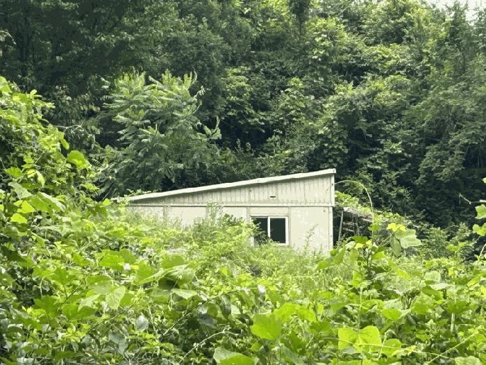 충북 옥천군 군북면 증약리 산18-3 임야 사진 5