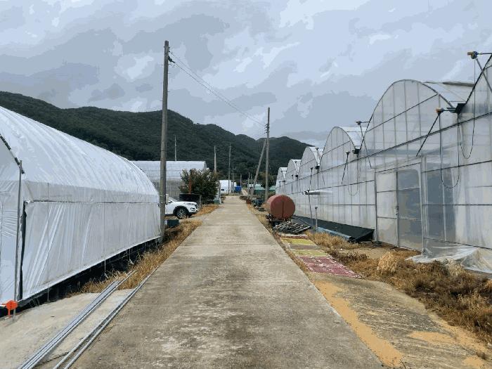 충북 영동군 추풍령면 관리 412-5 답 경매 물건 사진