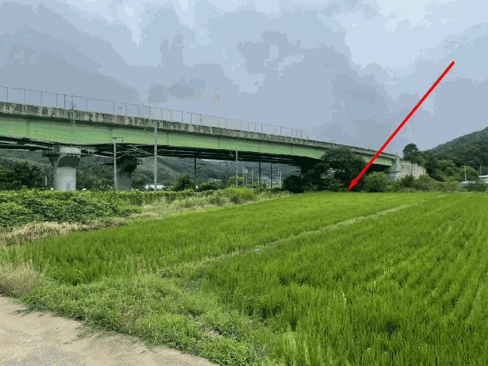 충북 영동군 추풍령면 관리 412-5 답 사진 2