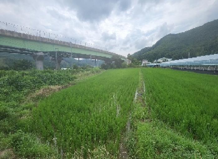 충북 영동군 추풍령면 관리 412-5 답 사진 3