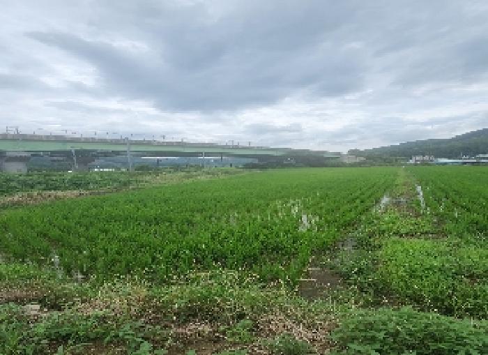 충북 영동군 추풍령면 관리 412-5 답 사진 4
