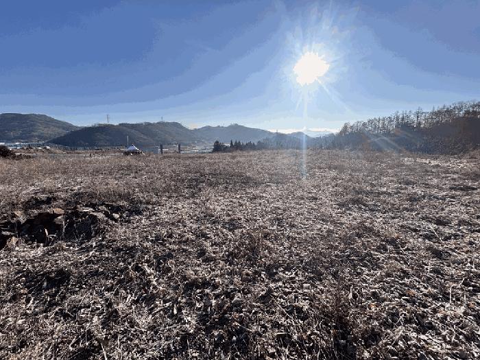 충북 괴산군 소수면 수리 569-2 임야 사진 2