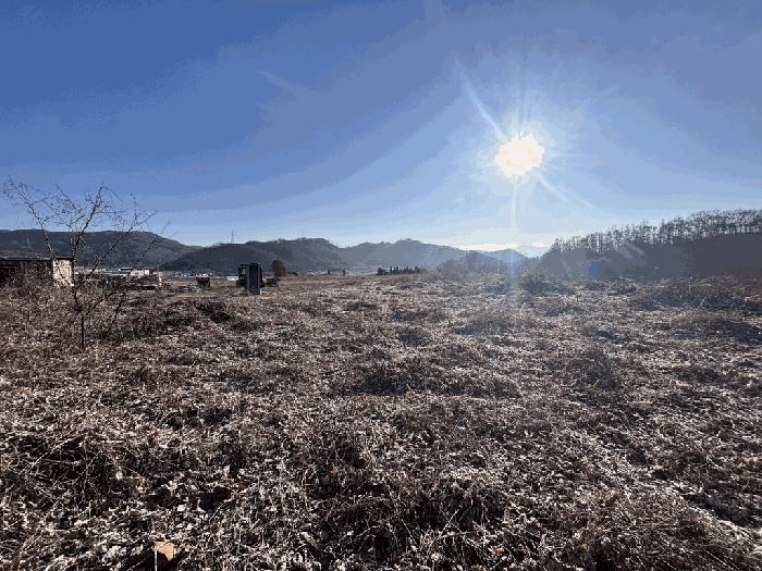 충북 괴산군 소수면 수리 569-2 임야 사진 6