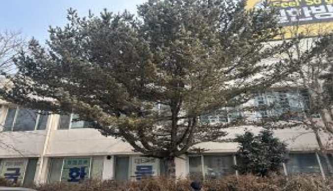 충북 청주시 흥덕구 지동동 476 외 6필지 근린생활시설 사진 5
