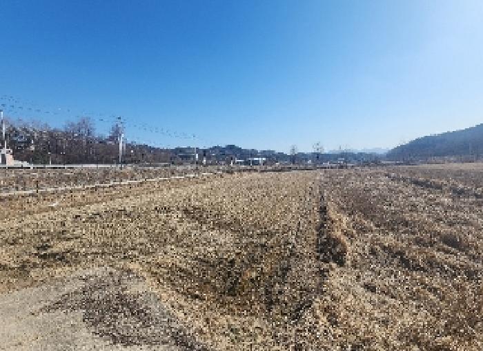 2025타경48 충청북도 영동군 용산면 미전리 345-4 답 대표 사진