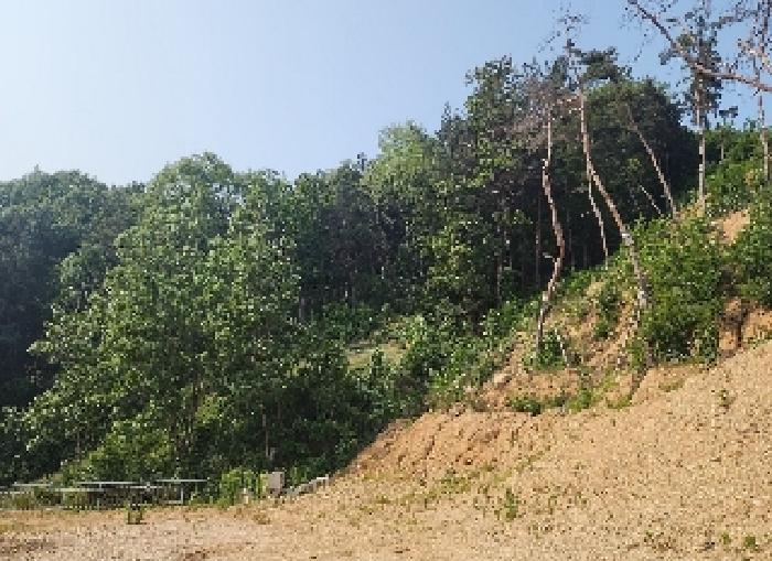충북 옥천군 청산면 교평리 185-1 외 4필지 전 경매 물건 사진