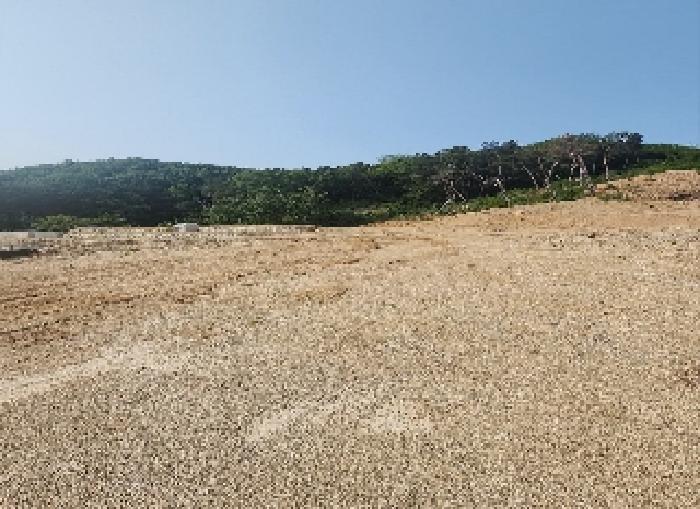 충북 옥천군 청산면 교평리 185-1 외 4필지 전 사진 6