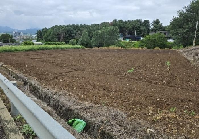 2025타경1524 충청북도 충주시 주덕읍 신양리 380 전 대표 사진
