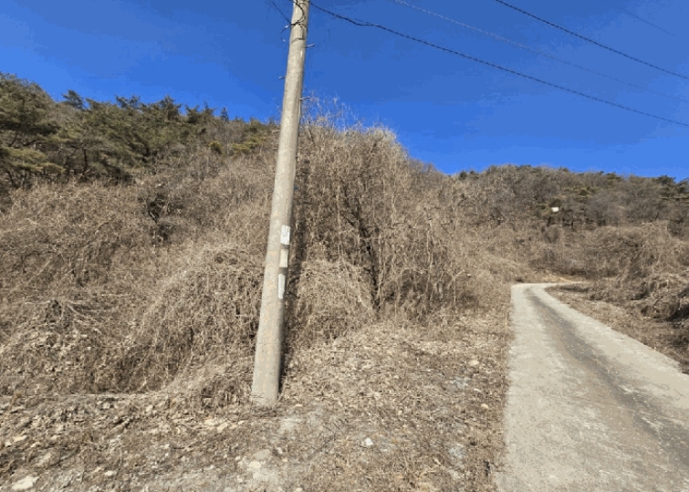 2025타경5252(1) 충청북도 단양군 가곡면 여천리 102 전 대표 사진