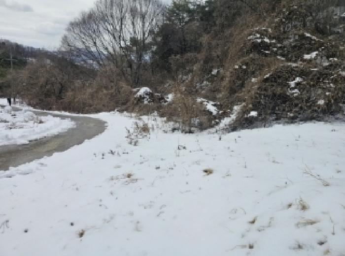 2025타경5252(1) 대표 사진 4